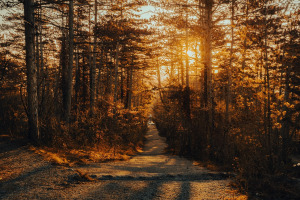 hiking trail nature